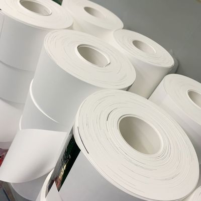 qualidade  0.1µM - 5µM Pore Size Nylon (Polyamide) Membrane Filter Circles fábrica